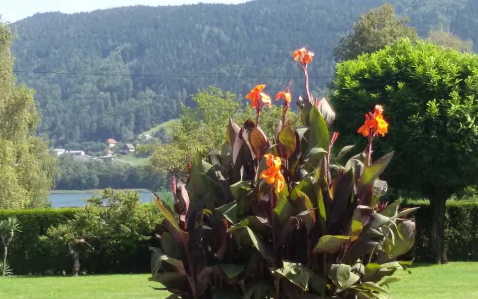 Foto Haus Thon Neuwirth